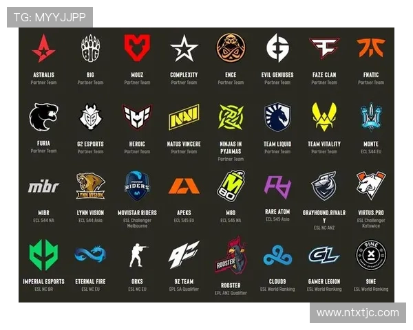 CSGO耐力排行榜揭晓WE战队荣登第十名展现强大实力