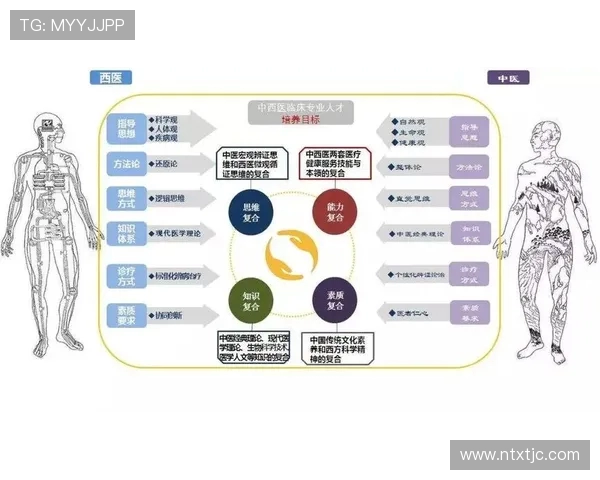 深入分析上海篮球队独特的节奏打法与战术风格的专业解读