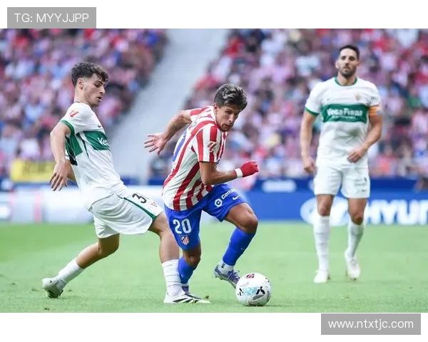 巴塞尔与维迪斯对决前瞻分析及双方近期状态评估