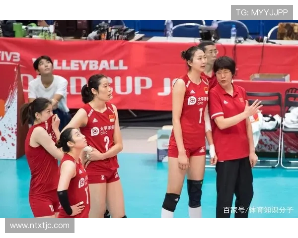 上海排球队状态分析：聚焦球队表现与未来发展方向